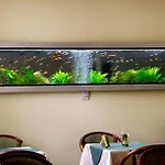 Hotel Brasov Brasov