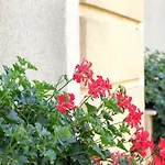 ホテル ブラショフ ホテル