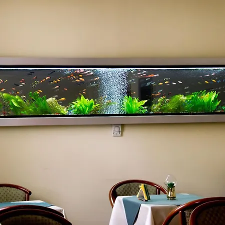 Hotel Brasov Brasov