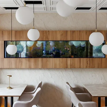 Hotel Hotel Brasov