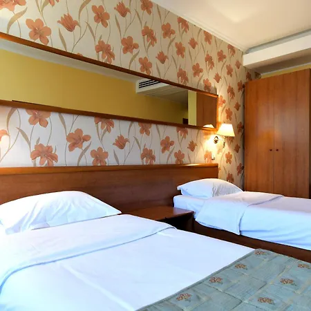 Hotel Hotel Brasov Brasov