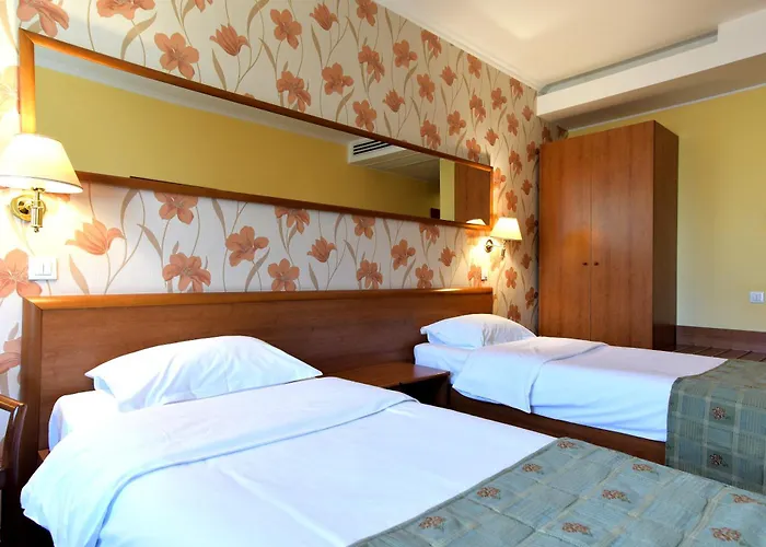 Hotel Hotel Brasov Brasov